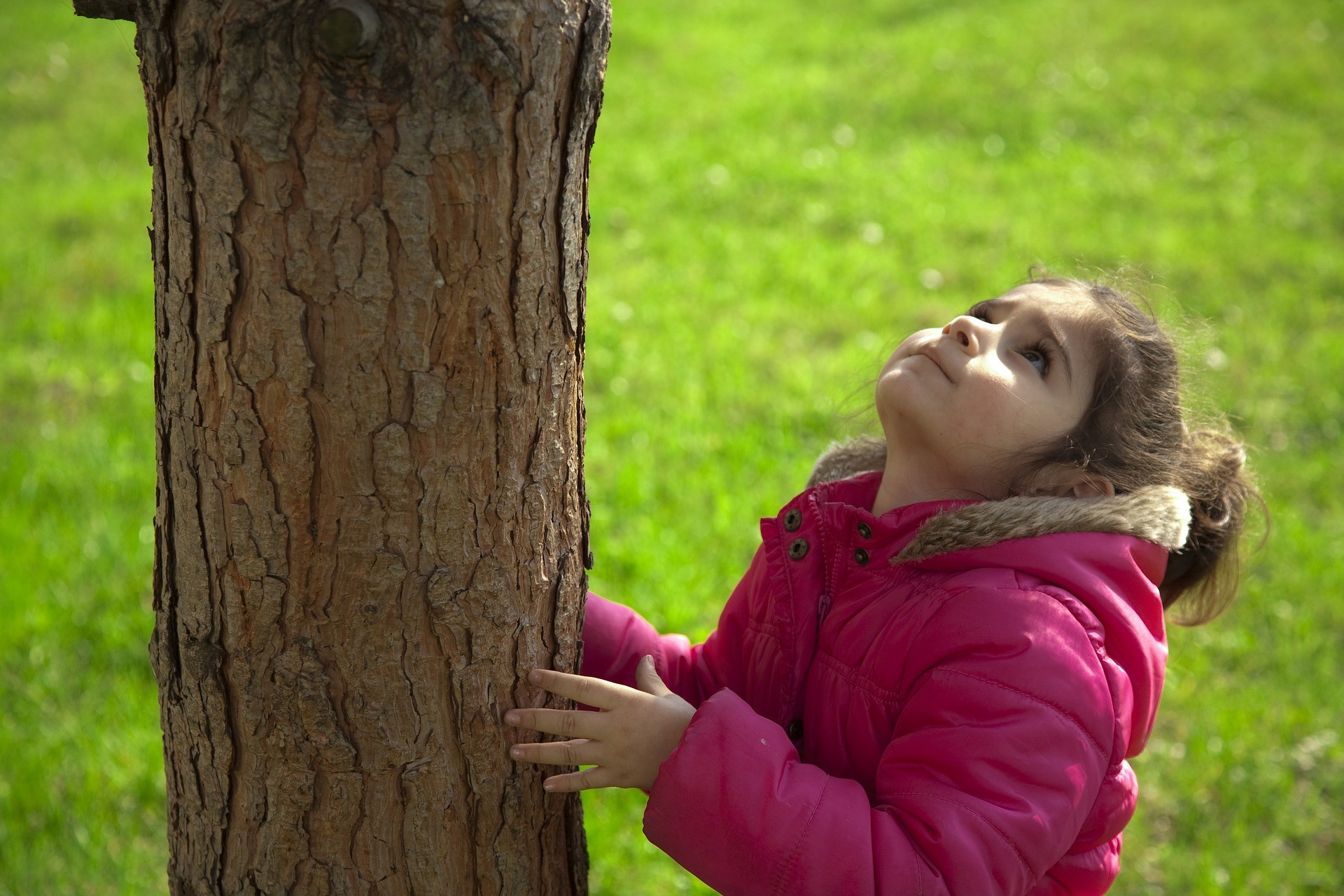 Geld An Baum Binden